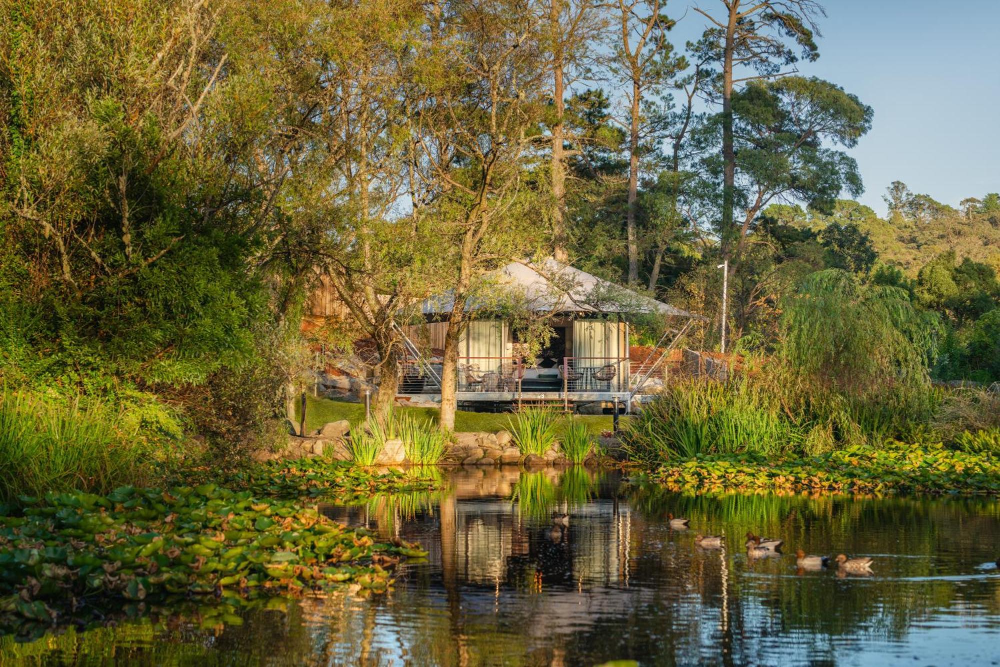 Parklands Country Gardens & Lodges Blue Mountains Blackheath Exterior foto